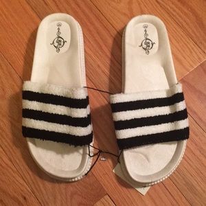 NWT Slides
